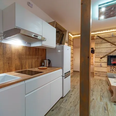 U Gasienicow Aparthotel
